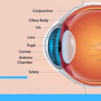 Eye and Vision Conditions