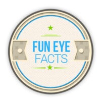 Vision Care