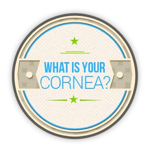 What is Your Cornea